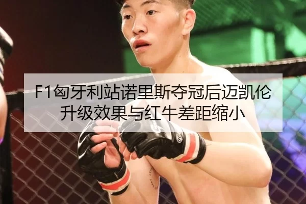xiong-ya-li-zhan-nuo-li-si-duo-guan-hou-mai-kai-lun-sheng-ji-xiao-guo-yu-hong-niu-cha-ju-suo-xiao-3-994.jpg